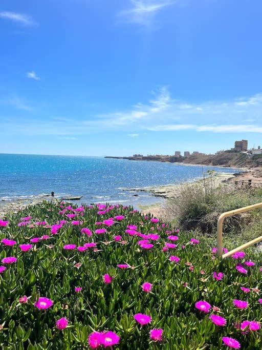 Casa La Paz Villa Torrevieja Exteriör bild